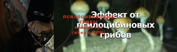 скорость Козловка