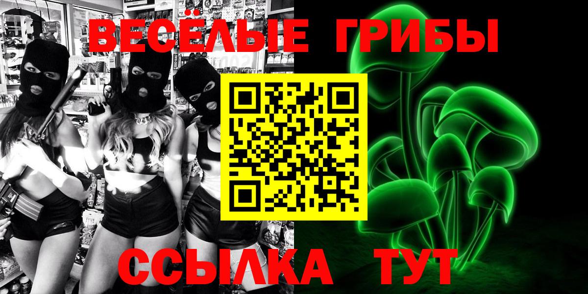 Коркино  купить   Вход с VPN  Псилоцибиновые грибы мицелий  Псилоцибиновые грибы MAGIC MUSHROOMS 