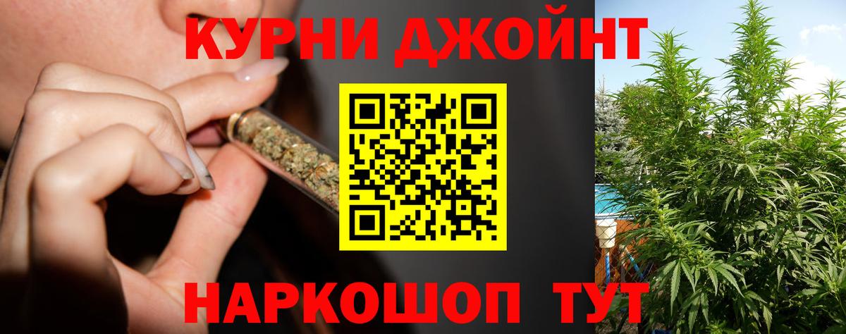 Бошки марихуана план  Бошки Шишки OG Kush  Канабис тримм  Коркино 
